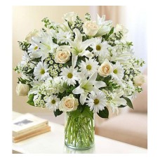 Sincerest Sorrow all white (Basic)
